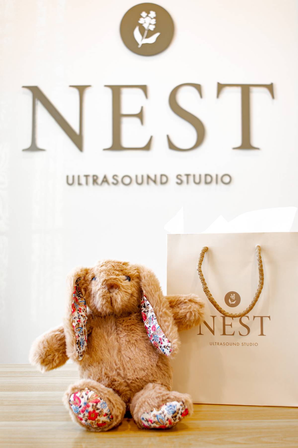 nest-ultrasound-studio-lobby-logo(1)